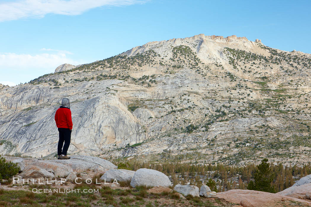 Choo-choo Ridge and Rafferty Peak, in Yosemite's high country, viewed from Vogelsang Lake. Yosemite National Park, California, USA, natural history stock photograph, photo id 23224