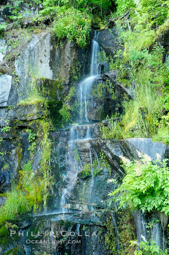 Little Christine Falls. Mount Rainier National Park, Washington, USA, natural history stock photograph, photo id 13825