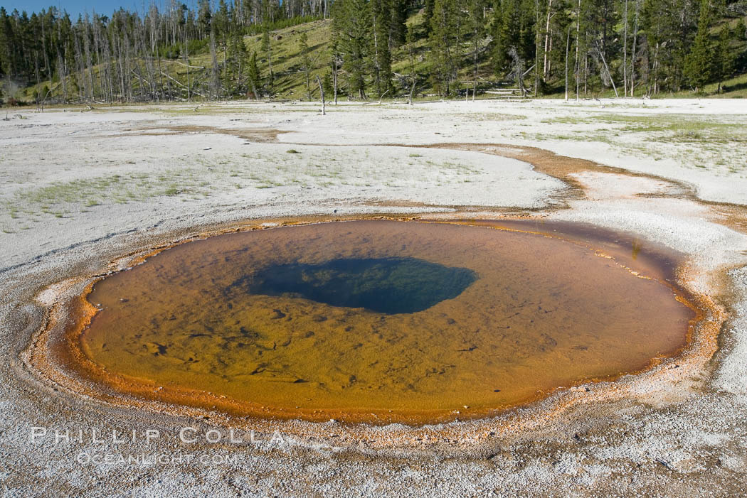 Chromatic Pool, also known as Chromatic Spring. Upper Geyser Basin, Yellowstone National Park, Wyoming, USA, natural history stock photograph, photo id 13822