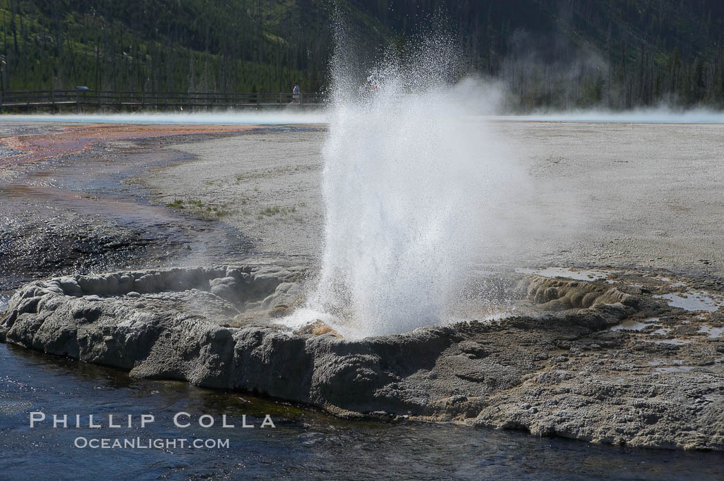 Cliff Geyser. Black Sand Basin, Yellowstone National Park, Wyoming, USA, natural history stock photograph, photo id 13514