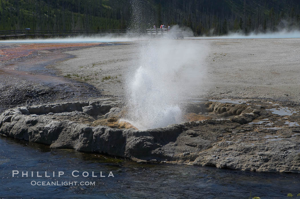 Cliff Geyser. Black Sand Basin, Yellowstone National Park, Wyoming, USA, natural history stock photograph, photo id 13516