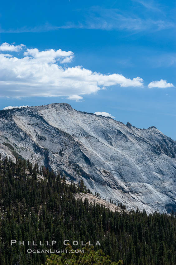 Clouds Rest viewed from Olmsted Point. Clouds Rest is one of the most massive -- if not the singlemost massive -- granite monoliths in the world. A vast lobe of Mesozoic-era granodiorite magma cooled to rock and was gradually uplifted to its present altitude of 9926 ft. Later, glaciers cut it into its present shape. Yosemite National Park, California, USA, natural history stock photograph, photo id 09962