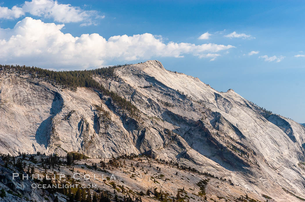 Clouds Rest viewed from Olmsted Point. Clouds Rest is one of the most massive -- if not the singlemost massive -- granite monoliths in the world. A vast lobe of Mesozoic-era granodiorite magma cooled to rock and was gradually uplifted to its present altitude of 9926 ft. Later, glaciers cut it into its present shape. Yosemite National Park, California, USA, natural history stock photograph, photo id 09964