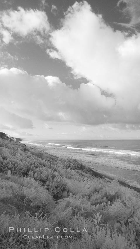 Coastal bluffs, waves, sky and clouds. Carlsbad, California, USA, natural history stock photograph, photo id 22742