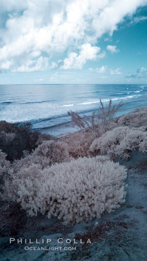 Coastal bluffs, waves, sky and clouds. Carlsbad, California, USA, natural history stock photograph, photo id 22743