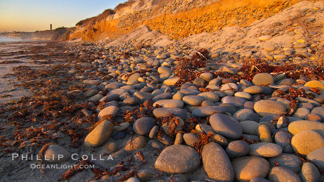 Cobblestones fall to the sand beach from the sandstone cliffs in which they are embedded. Carlsbad, California, USA, natural history stock photograph, photo id 21775