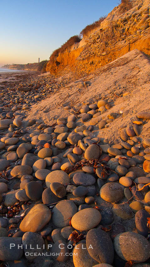 Cobblestones fall to the sand beach from the sandstone cliffs in which they are embedded. Carlsbad, California, USA, natural history stock photograph, photo id 21773