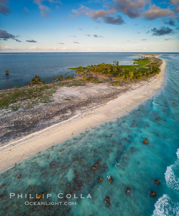 Coconut palm trees on Clipperton Island, aerial photo. Clipperton Island is a spectacular coral atoll in the eastern Pacific. By permit HC / 1485 / CAB (France)., natural history stock photograph, photo id 32846
