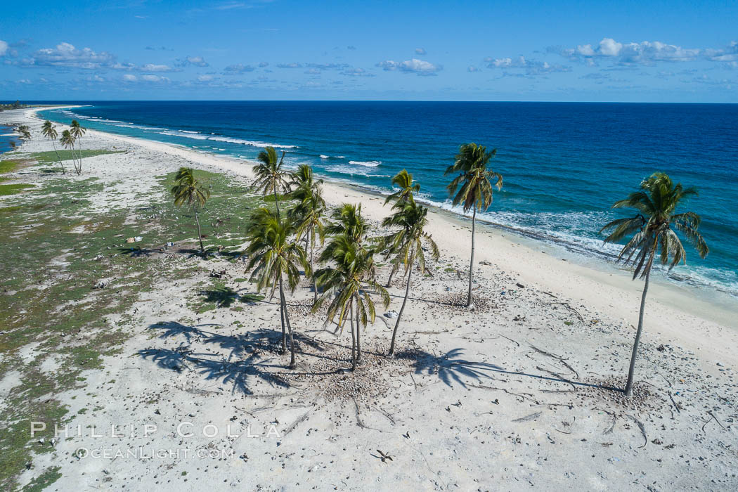 Coconut palm trees on Clipperton Island, aerial photo. Clipperton Island is a spectacular coral atoll in the eastern Pacific. By permit HC / 1485 / CAB (France)., natural history stock photograph, photo id 32882