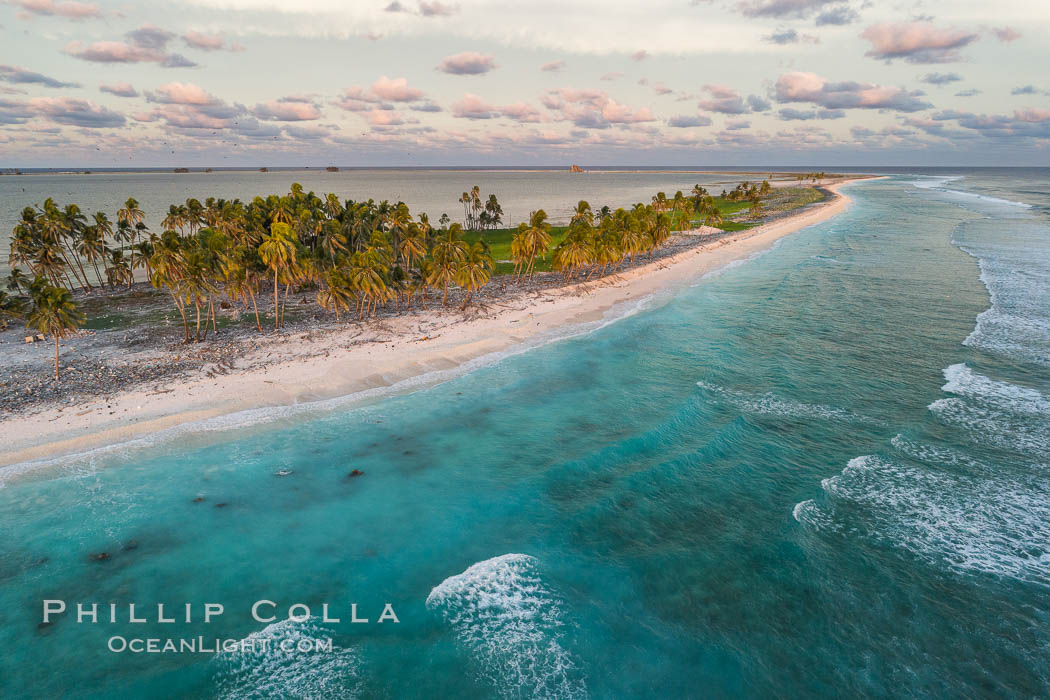 Coconut palm trees on Clipperton Island, aerial photo. Clipperton Island is a spectacular coral atoll in the eastern Pacific. By permit HC / 1485 / CAB (France)., natural history stock photograph, photo id 32894