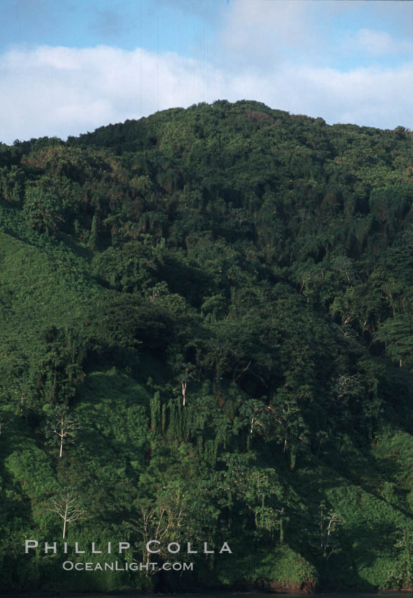 Shoreline. Cocos Island, Costa Rica, natural history stock photograph, photo id 05804