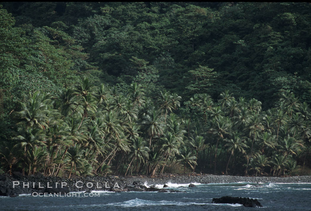 Shoreline. Cocos Island, Costa Rica, natural history stock photograph, photo id 05803
