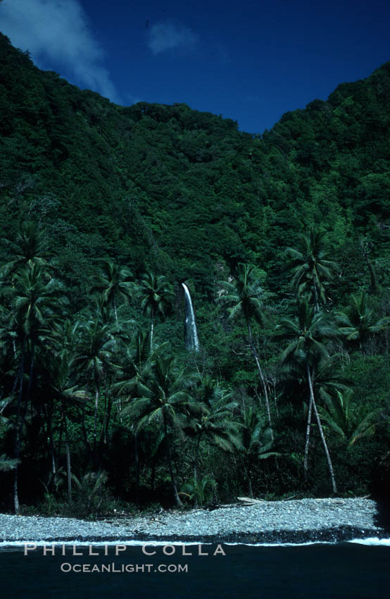 Cocos Island. Costa Rica, natural history stock photograph, photo id 02045