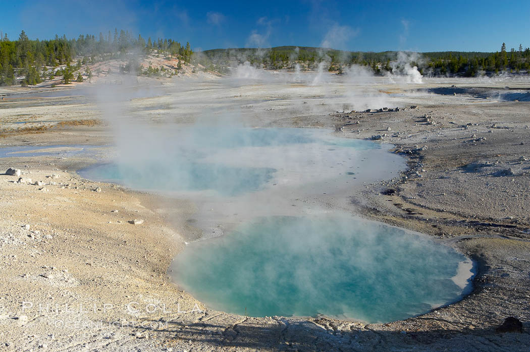 Colloidal Pool, Porcelain Basin. Norris Geyser Basin, Yellowstone National Park, Wyoming, USA, natural history stock photograph, photo id 13486