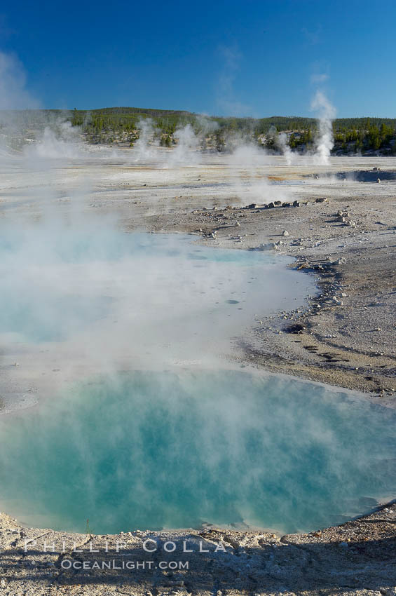 Colloidal Pool, Porcelain Basin. Norris Geyser Basin, Yellowstone National Park, Wyoming, USA, natural history stock photograph, photo id 13487