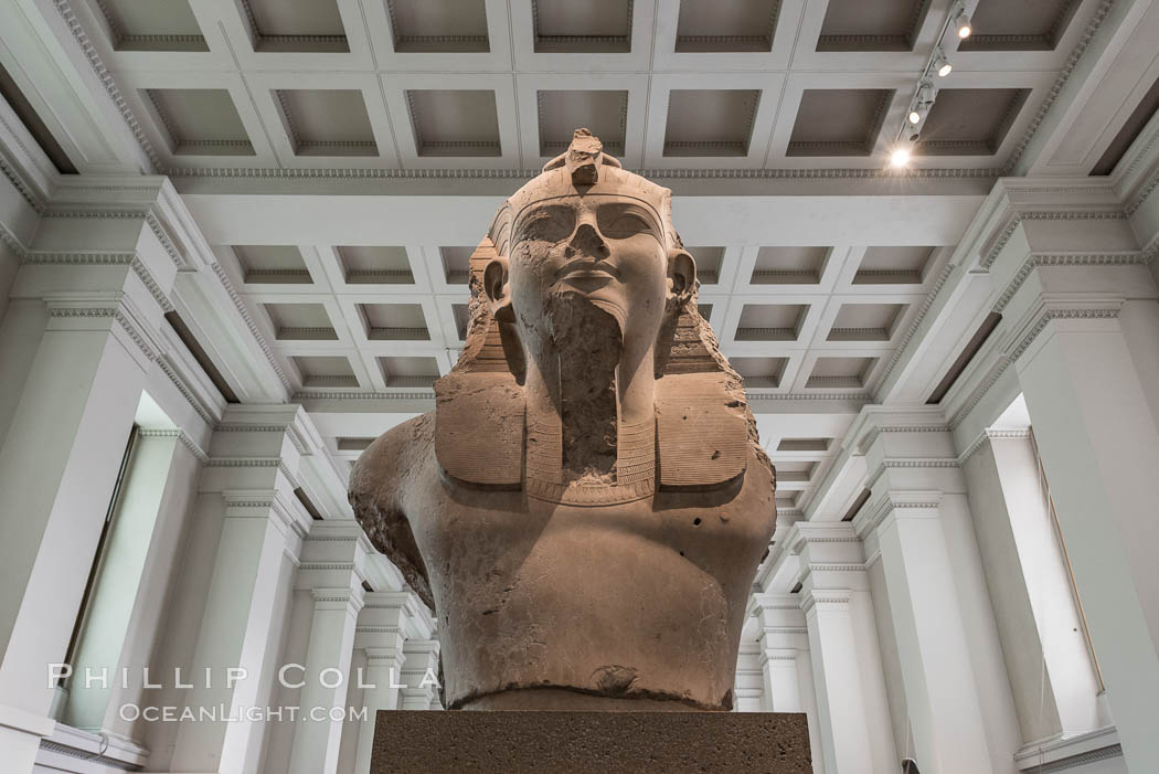 Colossal limestone bust of Amenhotep III, from the mortuary temple of Amenhotep III, Thebes, Egypt. 18th Dynasty, about 1350 BC. British Museum, London, United Kingdom, natural history stock photograph, photo id 28325