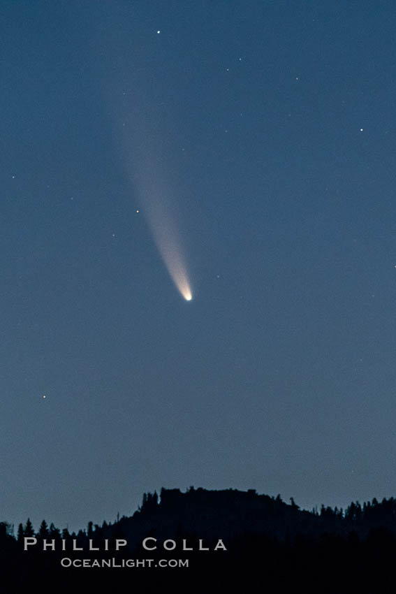 Comet NEOWISE over Bass Lake, California. USA, natural history stock photograph, photo id 36409