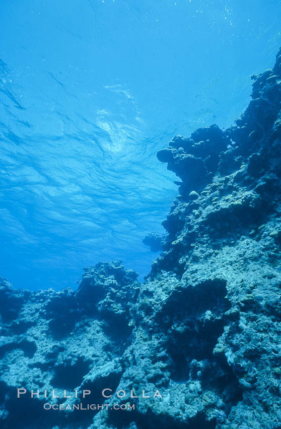 Coral bommies in Rose Atoll Lagoon. Rose Atoll National Wildlife Sanctuary, American Samoa, USA, natural history stock photograph, photo id 00735