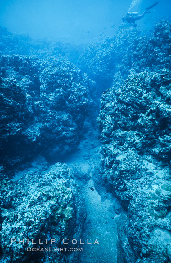 Coral Reef Scene Underwater at Rose Atoll, American Samoa. Rose Atoll National Wildlife Refuge, USA, natural history stock photograph, photo id 00777
