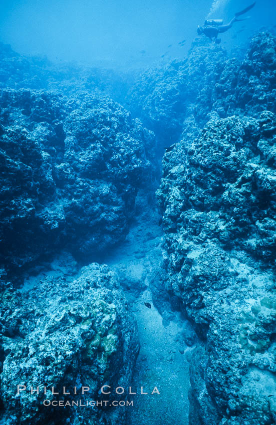 Coral Reef Scene Underwater at Rose Atoll, American Samoa. Rose Atoll National Wildlife Refuge, USA, natural history stock photograph, photo id 00777