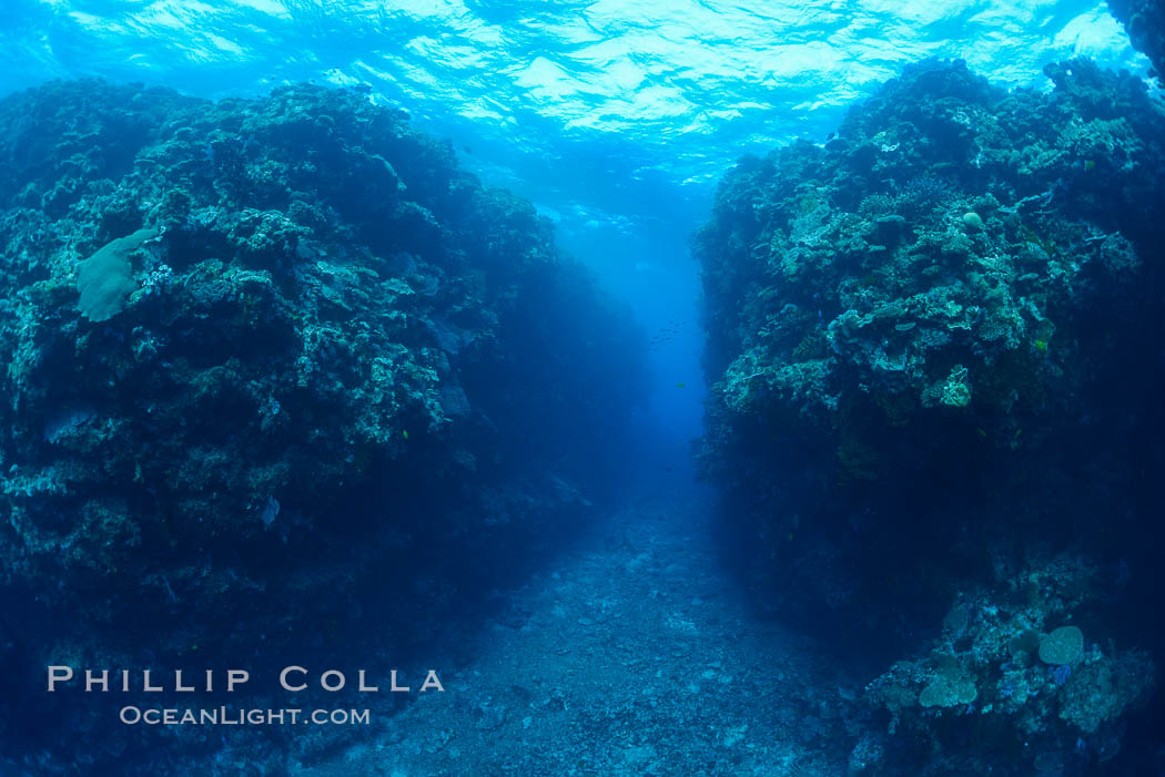 Coral reefscape in Fiji. Stony corals, such as the various species in this image, grow a calcium carbonate skeleton which they leave behind when they die. Over years, this deposit of calcium carbonate builds up the foundation of the coral reef. Fiji., natural history stock photograph, photo id 31607