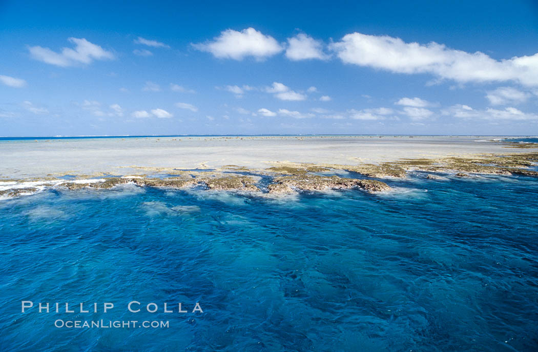 Porolithon coralline algae reef, Rose Atoll, American Samoa. Rose Atoll National Wildlife Sanctuary, USA, natural history stock photograph, photo id 00842