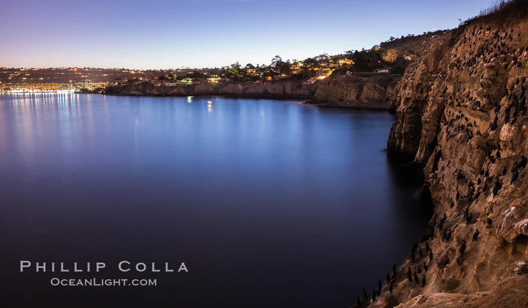 Cormorants rest at night above the La Jolla Caves. La Jolla Sea Caves, the famous La Jolla sea caves lie below tall cliffs at Goldfish Point. California, USA, natural history stock photograph, photo id 28827