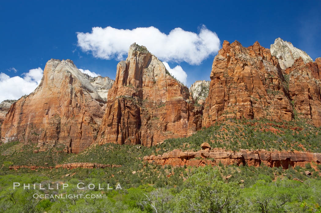 Court of the Patriarchs, a series of red sandstone peaks, rise above Zion Canyon. Zion National Park, Utah, USA, natural history stock photograph, photo id 12498