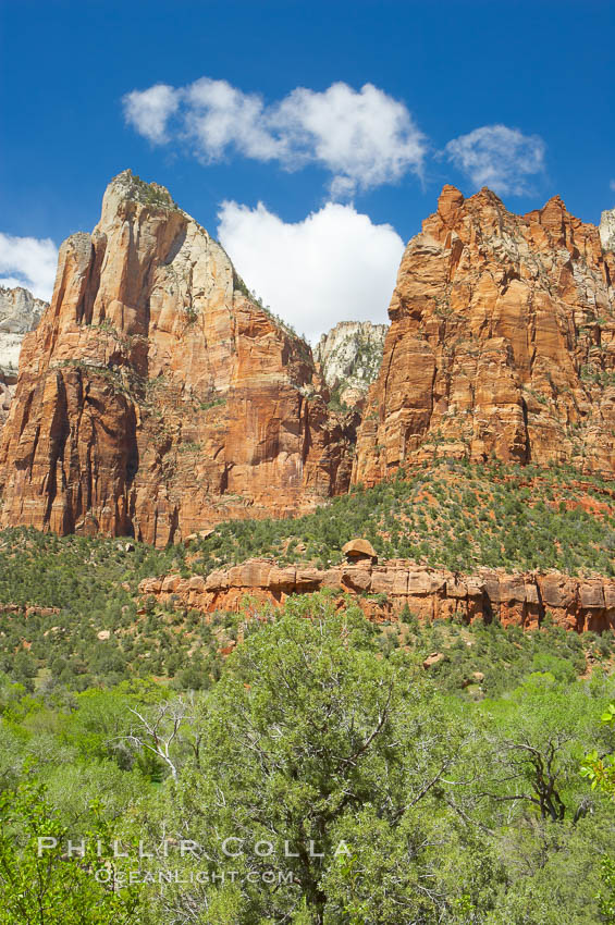 Court of the Patriarchs, named for the three Hebrew prophets Abraham, Isaac and Jacob. Zion National Park, Utah, USA, natural history stock photograph, photo id 12806
