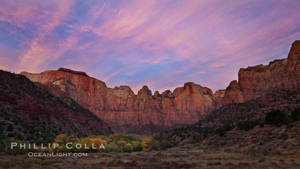 West Temple, The Sundial and the Altar of Sacrifice lit by soft alpenglow, about 20 minutes before sunrise. Zion National Park, Utah, USA, natural history stock photograph, photo id 26115