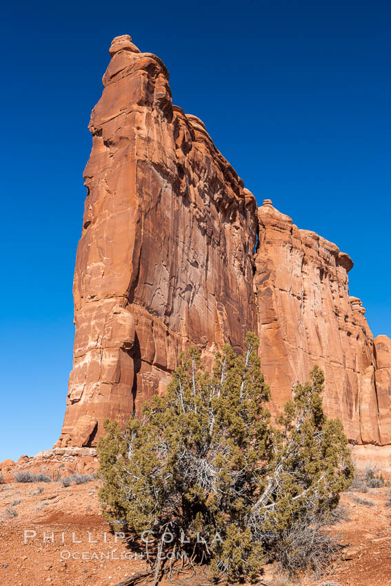 The Tower of Babel, Courthouse Towers, narrow sandstone fins towering above the surrounding flatlands. Arches National Park, Utah, USA, natural history stock photograph, photo id 18196