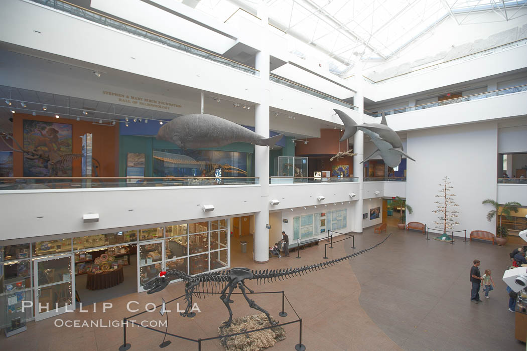 Courtyard, San Diego Natural History Museum. Balboa Park, California, USA, natural history stock photograph, photo id 22182