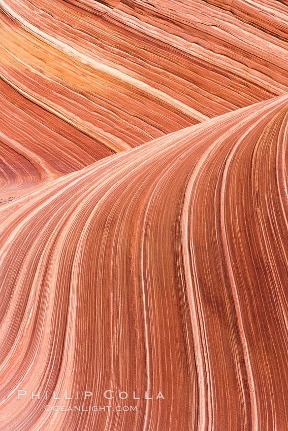 The Wave, an area of fantastic eroded sandstone featuring beautiful swirls, wild colors, countless striations, and bizarre shapes set amidst the dramatic surrounding North Coyote Buttes of Arizona and Utah.  The sandstone formations of the North Coyote Buttes, including the Wave, date from the Jurassic period. Managed by the Bureau of Land Management, the Wave is located in the Paria Canyon-Vermilion Cliffs Wilderness and is accessible on foot by permit only. USA, natural history stock photograph, photo id 20686
