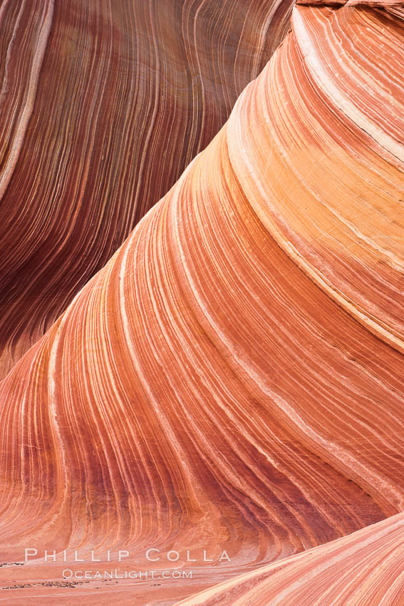 The Wave, an area of fantastic eroded sandstone featuring beautiful swirls, wild colors, countless striations, and bizarre shapes set amidst the dramatic surrounding North Coyote Buttes of Arizona and Utah.  The sandstone formations of the North Coyote Buttes, including the Wave, date from the Jurassic period. Managed by the Bureau of Land Management, the Wave is located in the Paria Canyon-Vermilion Cliffs Wilderness and is accessible on foot by permit only. USA, natural history stock photograph, photo id 20684
