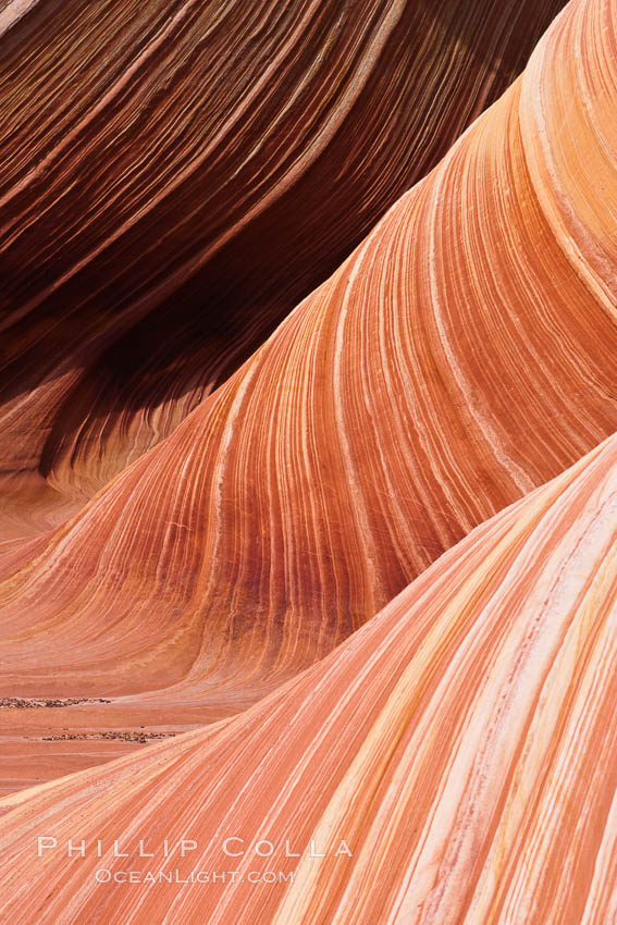 The Wave, an area of fantastic eroded sandstone featuring beautiful swirls, wild colors, countless striations, and bizarre shapes set amidst the dramatic surrounding North Coyote Buttes of Arizona and Utah.  The sandstone formations of the North Coyote Buttes, including the Wave, date from the Jurassic period. Managed by the Bureau of Land Management, the Wave is located in the Paria Canyon-Vermilion Cliffs Wilderness and is accessible on foot by permit only. USA, natural history stock photograph, photo id 20688