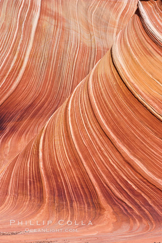 The Wave, an area of fantastic eroded sandstone featuring beautiful swirls, wild colors, countless striations, and bizarre shapes set amidst the dramatic surrounding North Coyote Buttes of Arizona and Utah.  The sandstone formations of the North Coyote Buttes, including the Wave, date from the Jurassic period. Managed by the Bureau of Land Management, the Wave is located in the Paria Canyon-Vermilion Cliffs Wilderness and is accessible on foot by permit only. USA, natural history stock photograph, photo id 20692