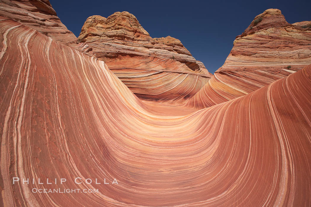 The Wave.  The main corridor of the Wave, a famous and curiously shaped sandstone bowl. North Coyote Buttes, Paria Canyon-Vermilion Cliffs Wilderness, Arizona, USA, natural history stock photograph, photo id 20732