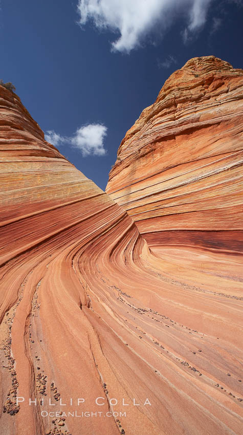 The Wave, an area of fantastic eroded sandstone featuring beautiful swirls, wild colors, countless striations, and bizarre shapes set amidst the dramatic surrounding North Coyote Buttes of Arizona and Utah.  The sandstone formations of the North Coyote Buttes, including the Wave, date from the Jurassic period. Managed by the Bureau of Land Management, the Wave is located in the Paria Canyon-Vermilion Cliffs Wilderness and is accessible on foot by permit only. USA, natural history stock photograph, photo id 20687
