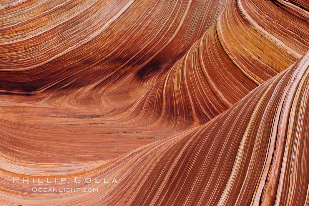 The Wave, an area of fantastic eroded sandstone featuring beautiful swirls, wild colors, countless striations, and bizarre shapes set amidst the dramatic surrounding North Coyote Buttes of Arizona and Utah.  The sandstone formations of the North Coyote Buttes, including the Wave, date from the Jurassic period. Managed by the Bureau of Land Management, the Wave is located in the Paria Canyon-Vermilion Cliffs Wilderness and is accessible on foot by permit only. USA, natural history stock photograph, photo id 20685