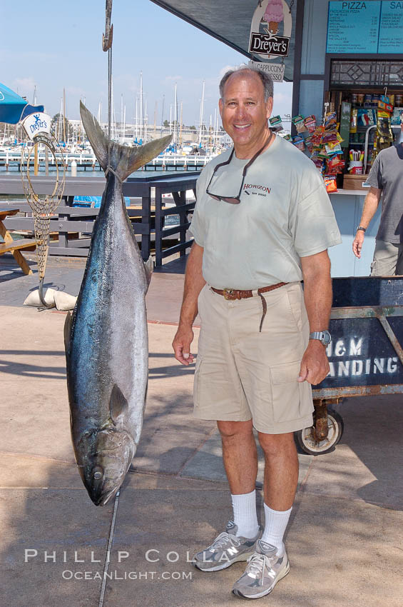 Craig OConnor and his pending spearfishing world record North Pacific yellowtail (77.4 pounds), taken on a breathold dive with a band-power speargun near Battleship Point, Guadalupe Island (Isla Guadalupe), Mexico.  Guadalupe Island is home to enormous yellowtail.  The three most recent spearfishing world records for Northern yellowtail have been taken at Guadalupe. July 2004. H&M Landing, San Diego, California, USA, natural history stock photograph, photo id 09742