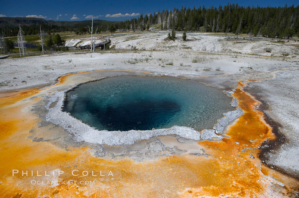 Image 13358, Crested Pool is a blue, superheated pool.  Unfortunately, it has claimed a life.  It reaches a overflowing boiling state every few minutes, then subsides a bit before building to a boil and overflow again.  Upper Geyser Basin. Yellowstone National Park, Wyoming, USA, Phillip Colla, all rights reserved worldwide. Keywords: crested pool, environment, geothermal, geothermal features, landscape, national parks, nature, outdoors, outside, scene, scenery, scenic, spring, upper geyser basin, usa, world heritage sites, wyoming, yellowstone, yellowstone national park, yellowstone park.