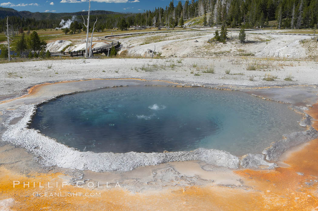 Crested Pool is a blue, superheated pool.  Unfortunately, it has claimed a life.  It reaches a overflowing boiling state every few minutes, then subsides a bit before building to a boil and overflow again.  Upper Geyser Basin. Yellowstone National Park, Wyoming, USA, natural history stock photograph, photo id 13356