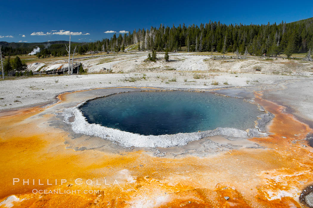 Crested Pool is a blue, superheated pool.  Unfortunately, it has claimed a life.  It reaches a overflowing boiling state every few minutes, then subsides a bit before building to a boil and overflow again.  Upper Geyser Basin. Yellowstone National Park, Wyoming, USA, natural history stock photograph, photo id 13355