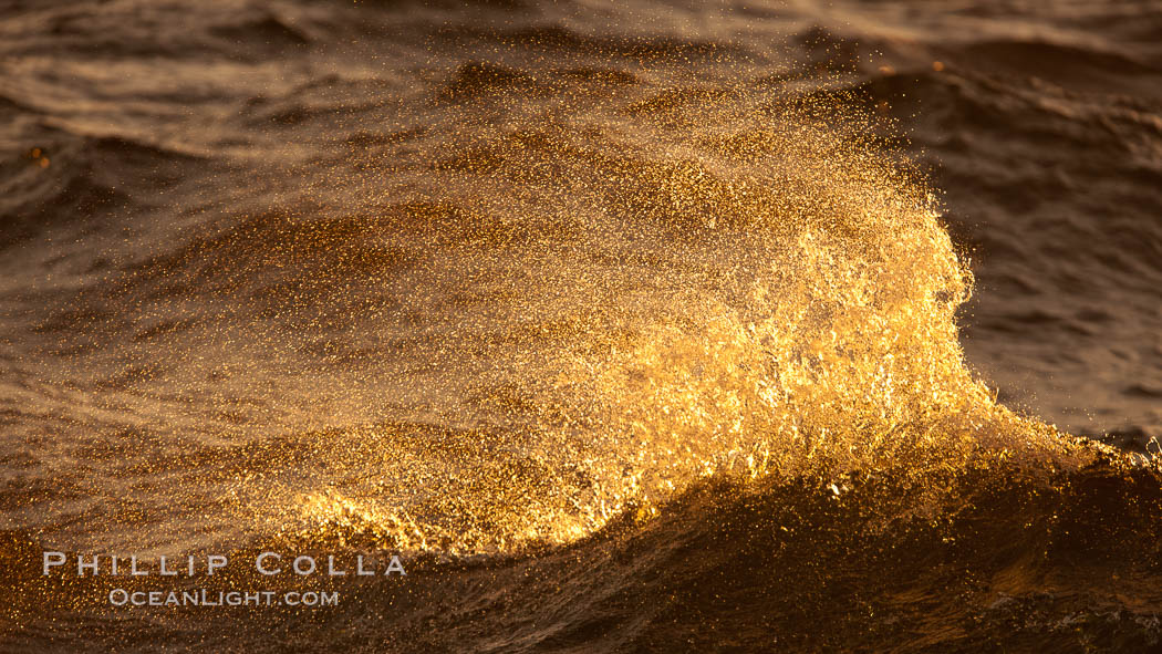 Cresting wave, spray blown off the top by strong winds, at sea. Falkland Islands, United Kingdom, natural history stock photograph, photo id 24026