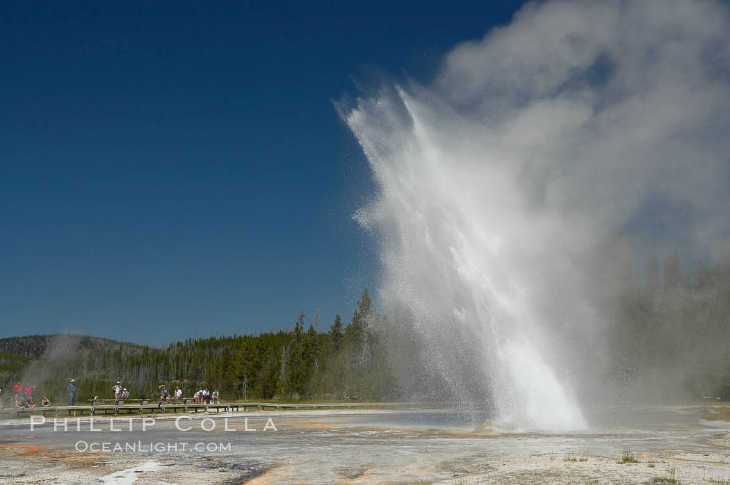 Daisy Geyser erupting with visitors visible in the distance..  Daisy Geyser, a cone-type geyser that shoots out of the ground diagonally, is predictable with intervals ranging from 120 to over 200 minutes.  It reaches heights of 75 feet, lasts 3 to 4 minutes and rarely erupts in concert with nearby Splendid Geyser.  Upper Geyser Basin. Yellowstone National Park, Wyoming, USA, natural history stock photograph, photo id 13379