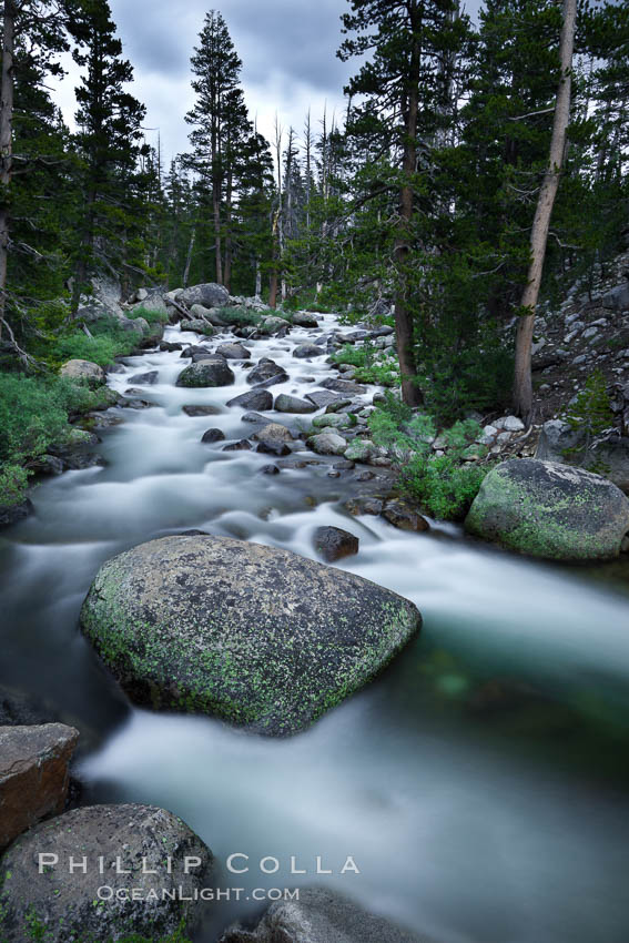 Dana Fork of the Tuolumne River, near Tioga Pass. Yosemite National Park, California, USA, natural history stock photograph, photo id 26998