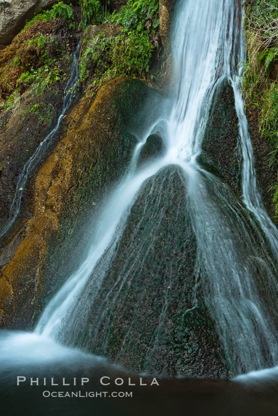 Darwin Falls in Death Valley, near the settlement of Panamint Springs.  The falls are fed by a perennial stream that flows through a narrow canyon of plutonic rock, and drop of total of 80' (24m) in two sections. Death Valley National Park, California, USA, natural history stock photograph, photo id 27685