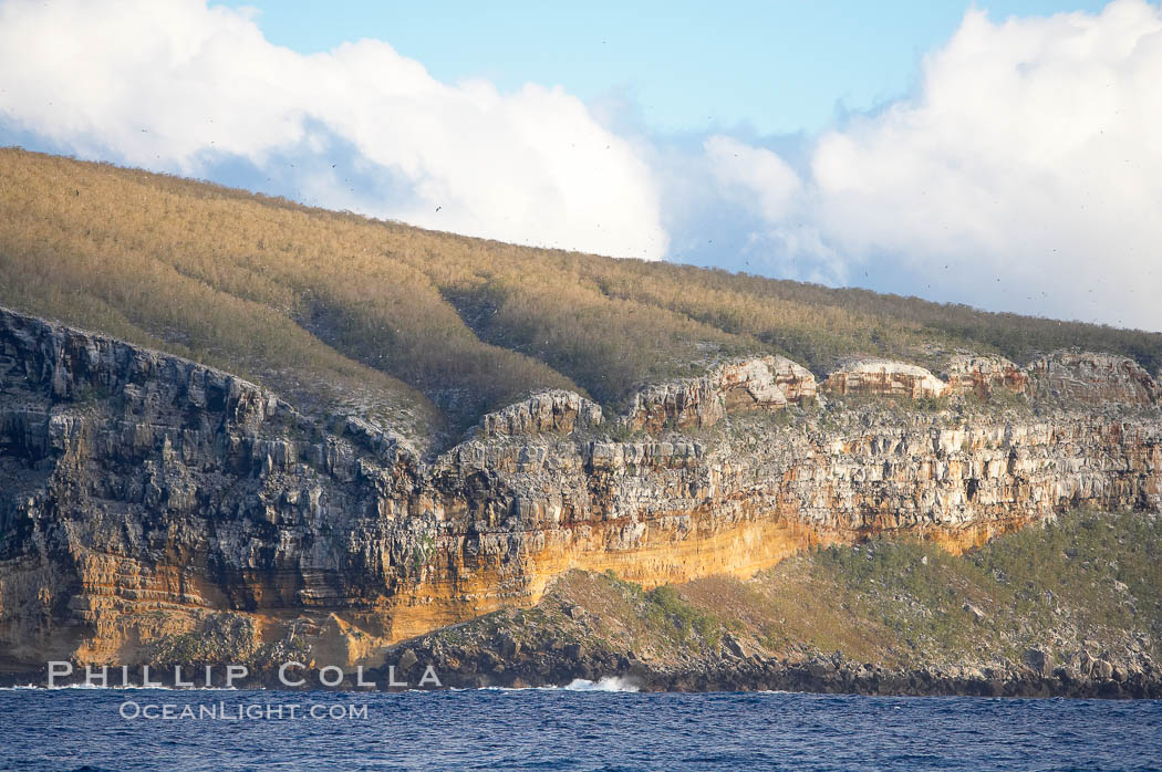 Darwin Island, the northernmost of the Galapagos Islands, hosts sheer seacliffs rising above the ocean that are home to tens of thousands of seabirds. Ecuador, natural history stock photograph, photo id 16619