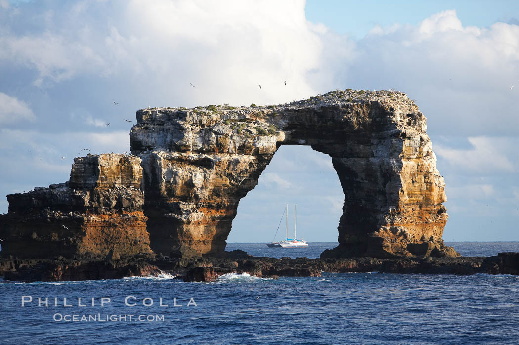 Darwins Arch, a dramatic 50-foot tall natural lava arch, rises above the ocean a short distance offshore of Darwin Island. Galapagos Islands, Ecuador, natural history stock photograph, photo id 16620
