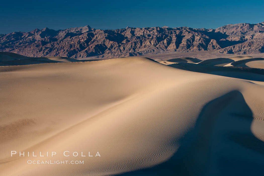 Sand Dunes, California.  Near Stovepipe Wells lies a region of sand dunes, some of them hundreds of feet tall. Death Valley National Park, USA, natural history stock photograph, photo id 15606